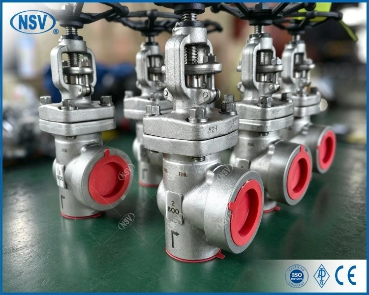 F316L Angle Pattern Globe Valve best