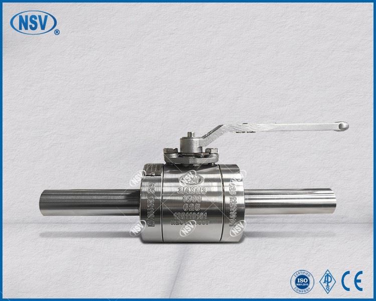 Falf Ball Inconel 625 Gyda Nipples 100mm