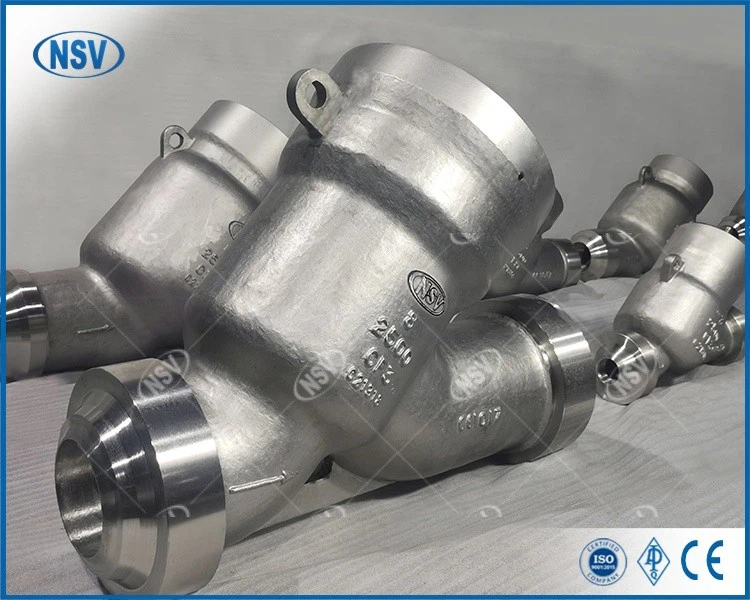 Stainless Steel Y-Type Swing Check Valve best